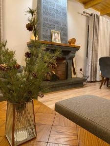 a living room with a fireplace with a christmas tree in a vase at Iballe Guesthouse in Pukë