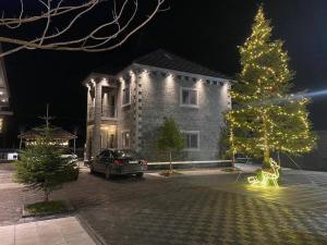 a christmas tree with lights in front of a building at Iballe Guesthouse in Pukë