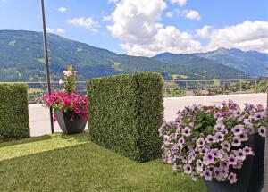 three pots of flowers on a balcony with mountains in the background at Sonnen-Appartement Heidi in Sankt Michael im Lungau