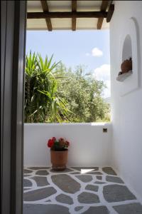 a hallway with a potted plant and a window at Marili Apartments Studios in Parasporos