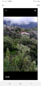 a picture of a house on a hill with trees at Cottage near the mountains away from crowd in Las Palmas de Gran Canaria
