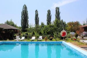 a swimming pool in a yard with chairs and trees at Фазенда "Змерега" in Solotvyno