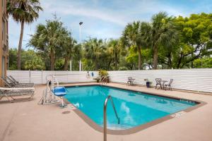 a large swimming pool with chairs and trees at Comfort Inn & Suites Fort Lauderdale West Turnpike in Fort Lauderdale