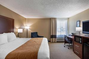Comfort Inn N Myrtle Beach Barefoot Landing客房内的一张或多张床位