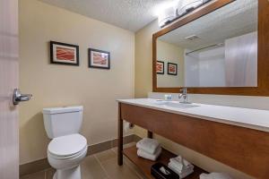 默特尔比奇Comfort Inn N Myrtle Beach Barefoot Landing的带马桶和带镜子的水槽的浴室