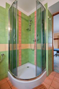 La salle de bains est pourvue d'une douche et de carrelage vert et orange. dans l'établissement Dom Narciarza, à Szczyrk