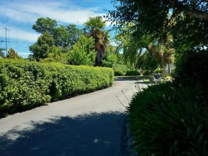 a street with bushes and trees and a sidewalk at Four Peaks Motel in Geraldine