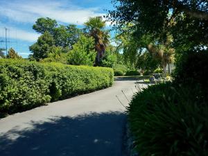 uma rua com arbustos e árvores e um passeio em Four Peaks Motel em Geraldine