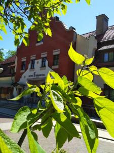 a branch of a tree in front of a building at Grand Sal in Wieliczka