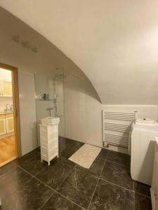 a bathroom with a shower and a sink and a toilet at Apartmány u sv. Michaela in Kadaň