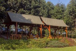 a pavilion with a covering on it in a park at Shamba lodge arusha in Olmotoni