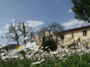 Agriturismo IL VIAIO外面的花园