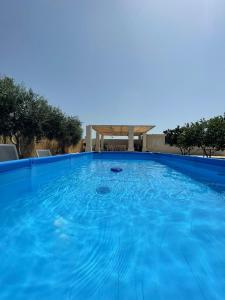 una grande piscina blu con gazebo di B&B Le Carrube a Sava