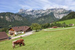 a cow grazing in a field with mountains in the background at Ferienwohnung Ertlerlehen in Marktschellenberg