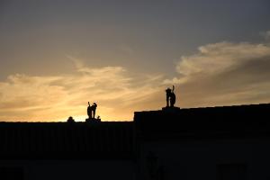Hostia v ubytovaní Casas Rurales Jardines del Visir