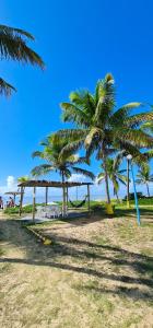 - une plage avec 2 palmiers et une balançoire dans l'établissement Hotel Brisa dos Abrolhos, à Alcobaça