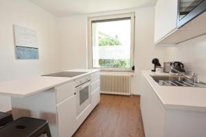 Kuchyň nebo kuchyňský kout v ubytování Alpenblick - modernes und großzügiges Apartment