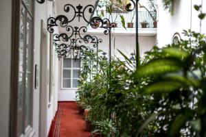 حديقة خارج Palais-Hotel Erzherzog Johann