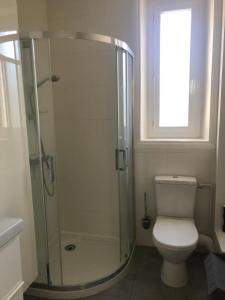 a bathroom with a shower with a toilet and a window at Appartement Marion en coeur de ville 2 à 4 personnes in Bort-les-Orgues