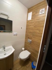 uma casa de banho com um WC e um lavatório em Zajazd Bartnik em Tylawa