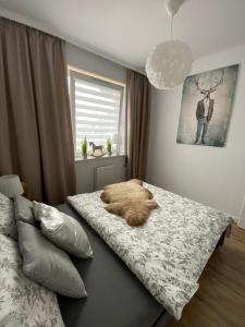 a bed with a furry animal laying on it in a bedroom at Apartament Platinum Park in Stargard