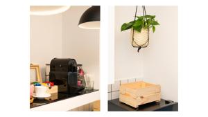 duas fotos de uma cozinha com uma planta em um cesto pendurado em Light Pink - Suite in the middle of everything em Torre Annunziata