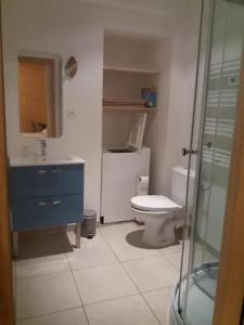 ein Bad mit einem WC, einem Waschbecken und einer Dusche in der Unterkunft Julio César Poligny Jura in Poligny