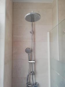 y baño con ducha con cabezal de ducha. en Casa Martín, en Ávila