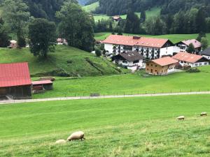 a group of sheep grazing in a field with houses at Ferienwohnung Oberstdorf in Oberstdorf