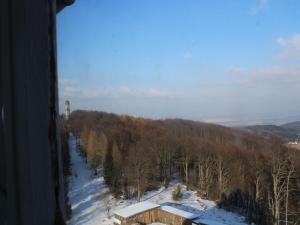 - une vue sur une forêt enneigée avec un bâtiment dans l'établissement Hochwaldbaude, à Hain