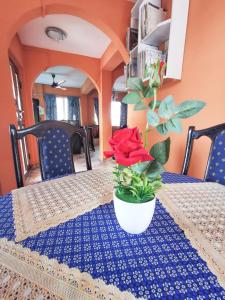 una mesa con una rosa roja en una olla. en To Be Hotel, en Kumasi