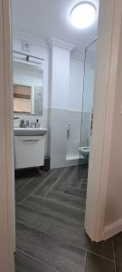a bathroom with a shower and a sink and a toilet at White rezidence in Curtea de Argeş +15 photos