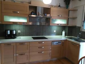 Η κουζίνα ή μικρή κουζίνα στο Larisa, Park view apartment +9 φωτογραφίες