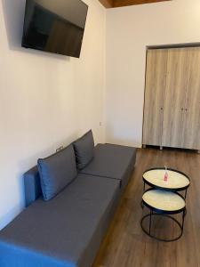 - un salon avec un canapé et une table dans l'établissement 11 Luxury Apartments Metsovo, à Metsovo
