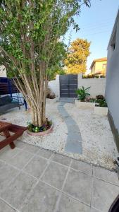 a garden with a tree and a walkway at Alekas Pool and Garden Home in Paphos