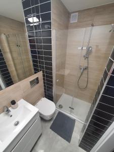 Kúpeľňa v ubytovaní JDK Apartamenty Mickiewicza 34m2 4-osobowy + 9 fotografií