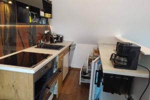 Kuchyň nebo kuchyňský kout v ubytování Apartman Ateliér Vary v nově zrekonstruovaném domě