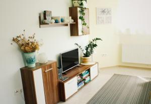 TV a/nebo společenská místnost v ubytování Apartmán "Pod Rokem"