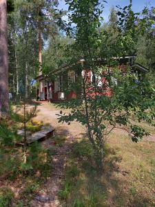 a small house in the middle of a yard at Ilmastoitu kesämökki Askolassa lähellä Porvoota in Askola