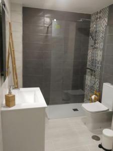 a bathroom with a shower and a sink and a toilet at TRIANA PUREZA 12-14 in Seville