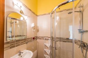 a bathroom with a shower and a sink and a mirror at B&B UN'ALTRA VITA in Ripa Teatina