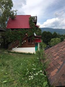 una casa con un techo rojo con hiedra creciendo en ella en Cabana Tinca en Corbeni