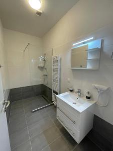 Nici´s Appartements Heidenreichstein tesisinde bir banyo