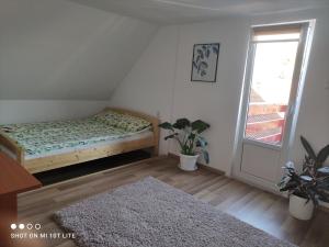 a bedroom with a bed and a window and a rug at Rita Vendégház in Ciumani