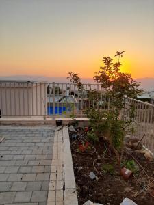 Foto dalla galleria di רוח ברמה a Bruchim Qela' Alon