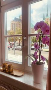 un jarrón con flores púrpuras en el alféizar de la ventana en Domblick, en Erfurt
