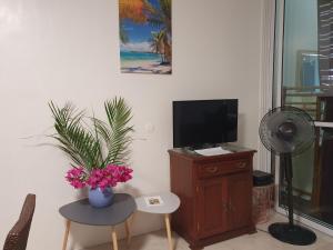 ein Wohnzimmer mit einem TV und einem Tisch mit einer Blume in der Unterkunft Douceur du Sud in Sainte-Anne