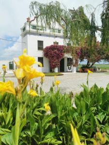 Fotografia z galérie ubytovania VILLA ELS FLAMENCS v destinácii Amposta