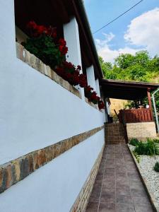 Fotografia z galérie ubytovania Apartman Lavendel v destinácii Szálka
