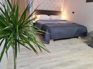 - une chambre avec un lit et une plante en pot dans l'établissement Casa Cibian, à Braşov